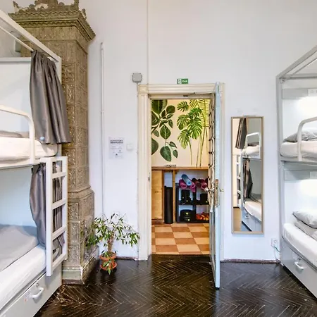 Auberge de jeunesse T5 Social