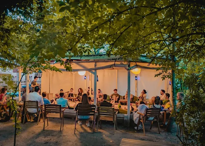 T5 Social * Bükreş