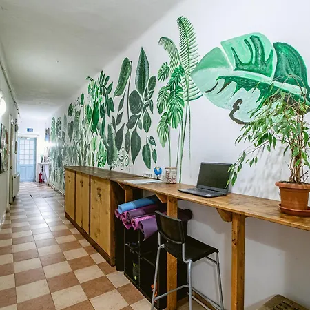 T5 Social ブカレスト