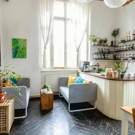 T5 Social * Бухарест