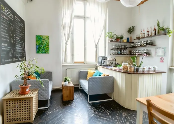 T5 Social * 布加勒斯特